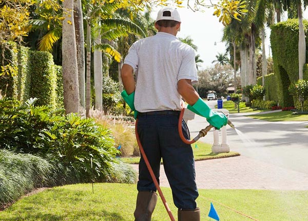 About Grygla MN Pest Control